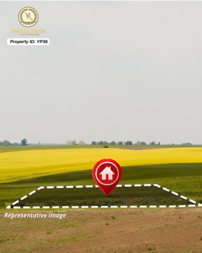 10 Acres Sugarcane Plantation Agricultural Land for Sale in Khanapur-1