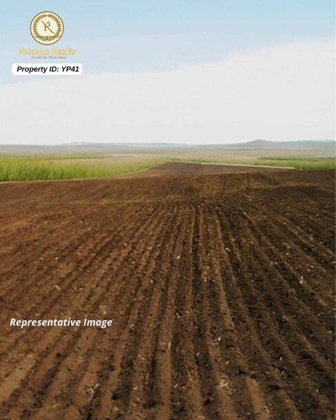 11.5 Acres Agriculture Land for Sale in Jamboti, Khanapur, Belagavi-1