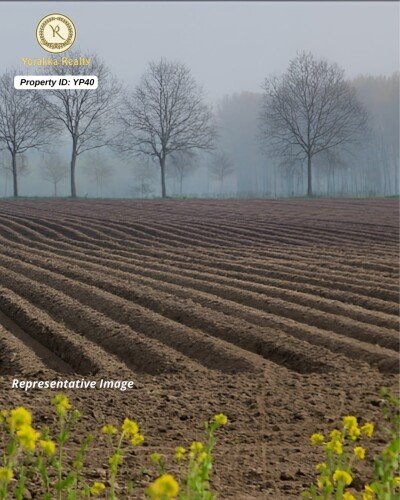 4.5 Acres Agriculture Land for Sale in Jamboti, Khanapur, Belagavi-1