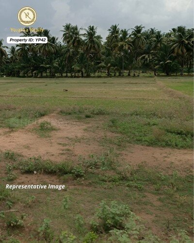5 Acres Agriculture Land for Sale in Jamboti, Khanapur, Belagavi-1