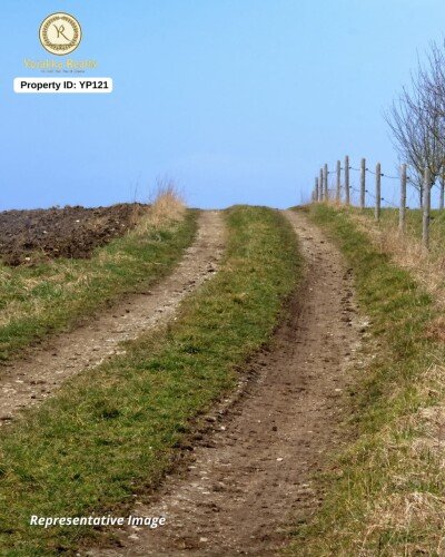 71 Guntha Clear Title Land for Sale on Shindolli–Tarihal Road – ₹6 Lakhs/Guntha