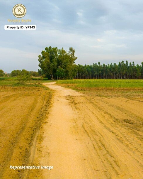 1 Acre Road-Touch Agricultural Land for Sale in Shaganmatti | Red Soil | ₹8 Lakh per Guntha (Negotiable)-1