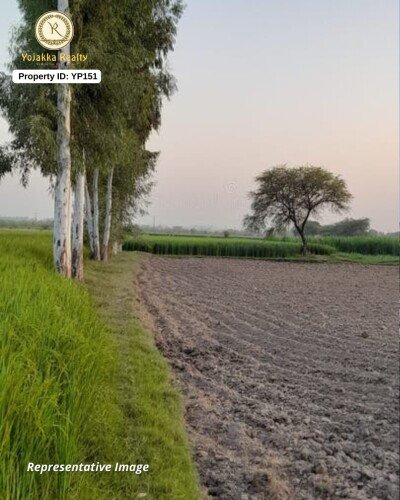 1420 Sqft B-Khata Plot for Sale in Samarth Nagar | 60-Feet Main Road Touch | North Facing