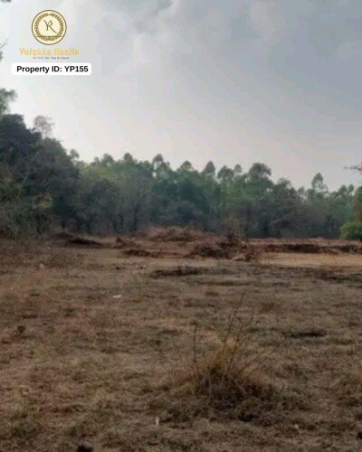 5.26 Acres Road-Touch Agriculture Land for Sale Near Kattgali, Belagavi
